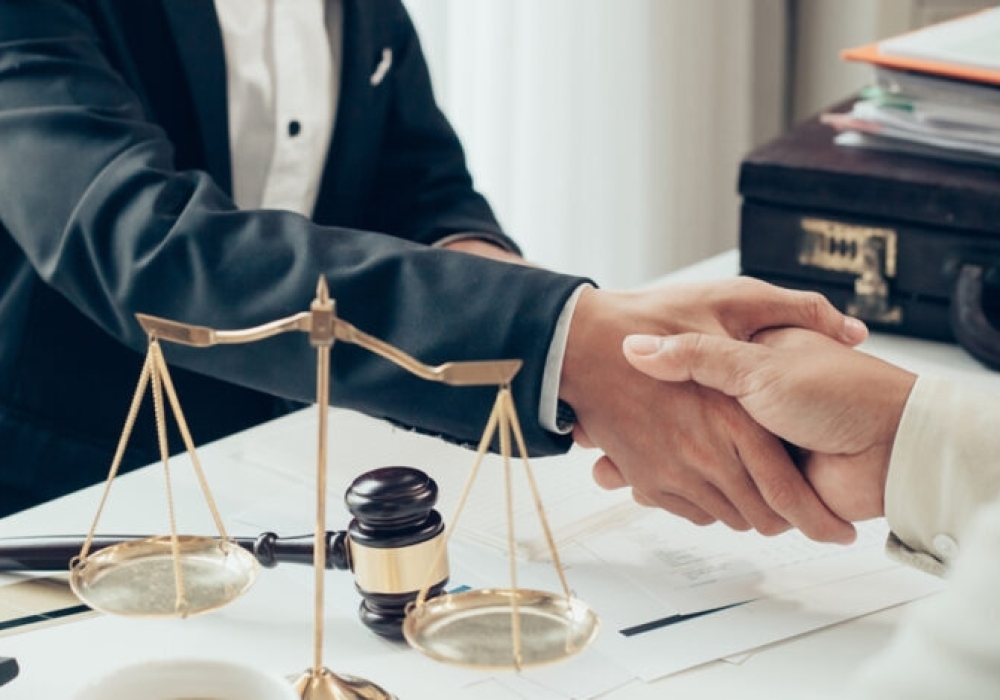 Privatization Law